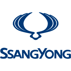 SSandYong